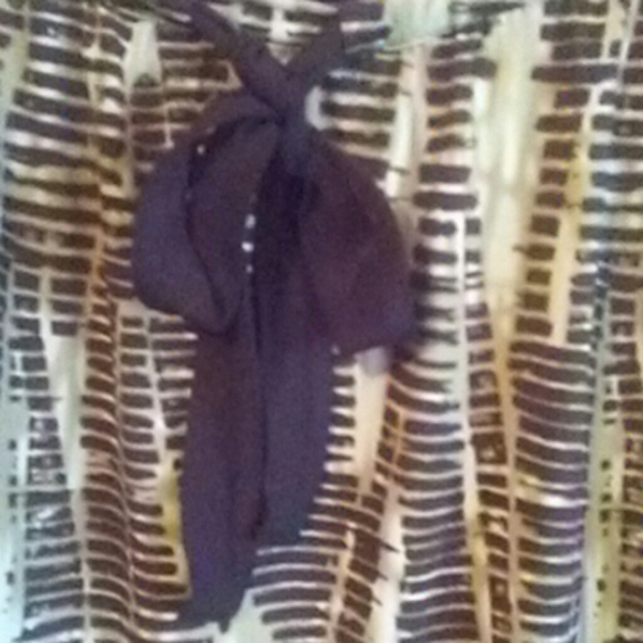 Linea (by Louis Deli' Olio)Brown Blouse - Picture 7 of 8